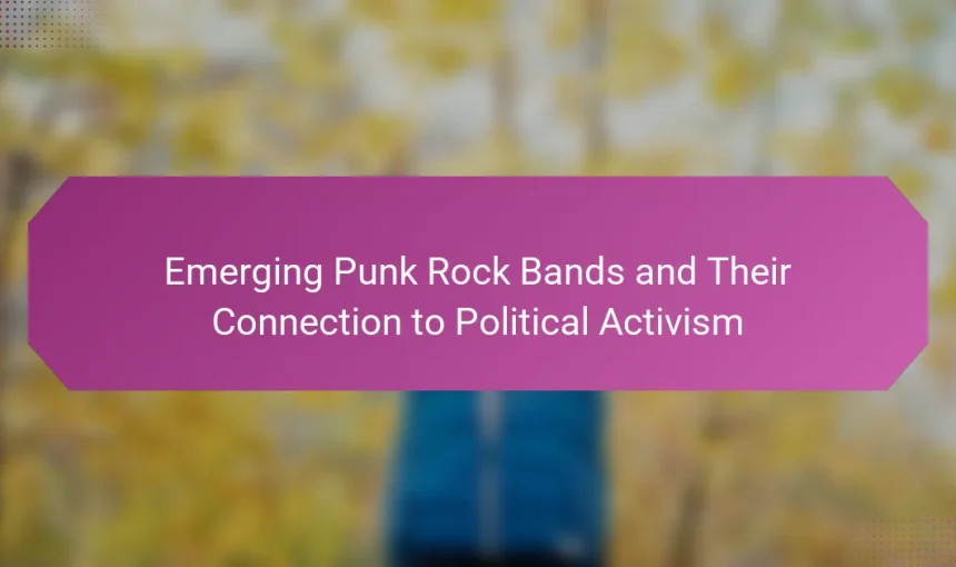 Emerging Punk Rock Bands and Their Connection to Political Activism
