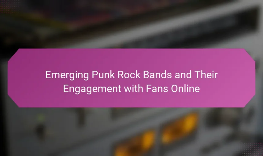 Emerging Punk Rock Bands and Their Engagement with Fans Online
