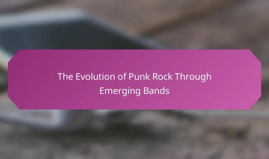 The Evolution of Punk Rock Through Emerging Bands