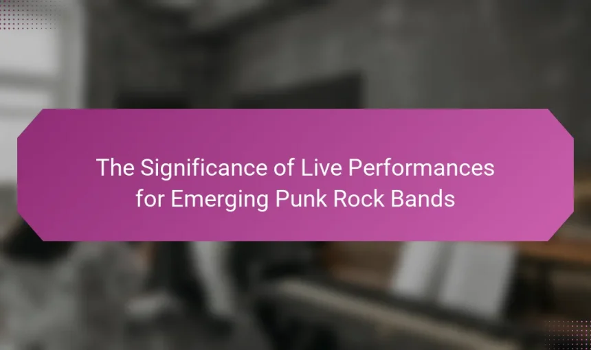 The Significance of Live Performances for Emerging Punk Rock Bands