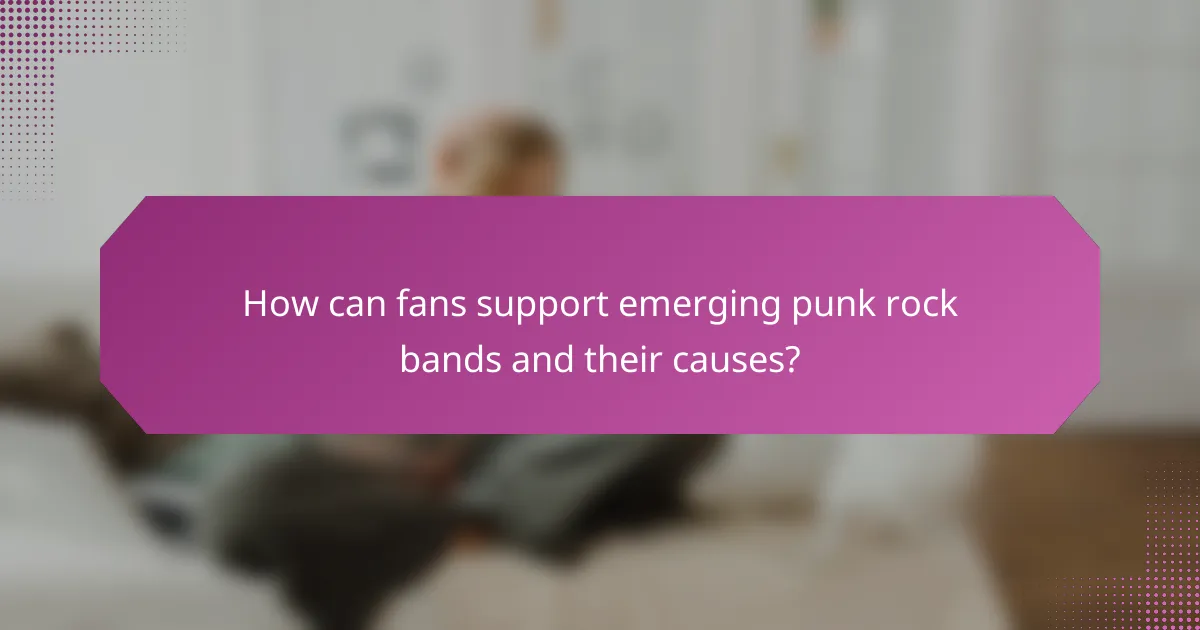 How can fans support emerging punk rock bands and their causes?