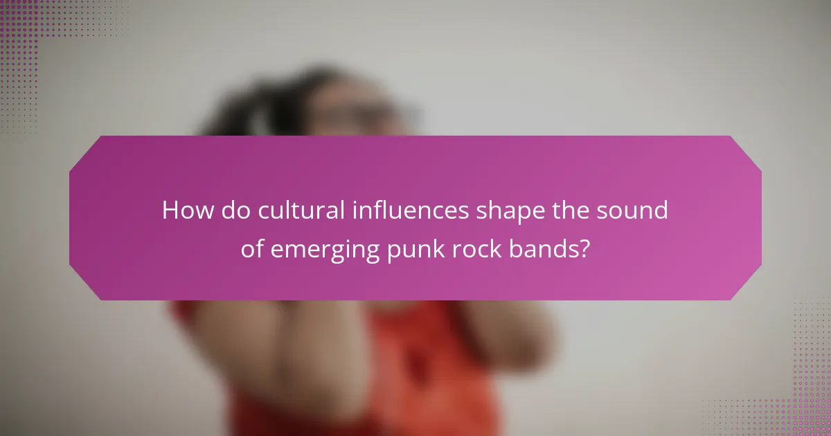 How do cultural influences shape the sound of emerging punk rock bands?