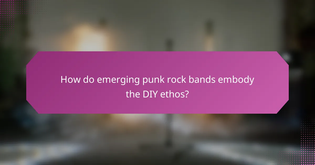 How do emerging punk rock bands embody the DIY ethos?