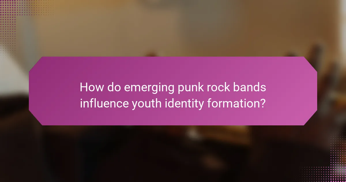 How do emerging punk rock bands influence youth identity formation?