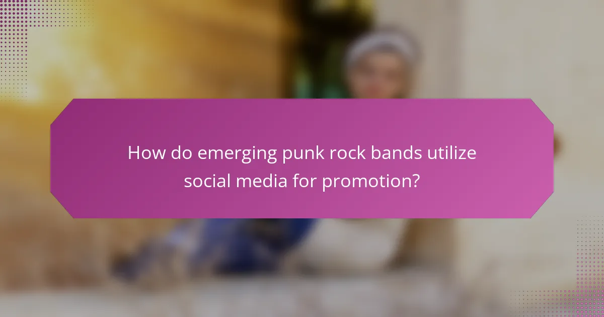 How do emerging punk rock bands utilize social media for promotion?