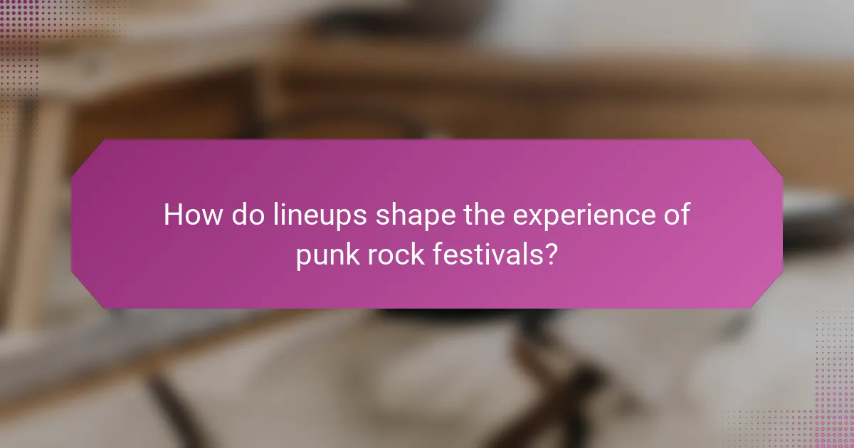 How do lineups shape the experience of punk rock festivals?