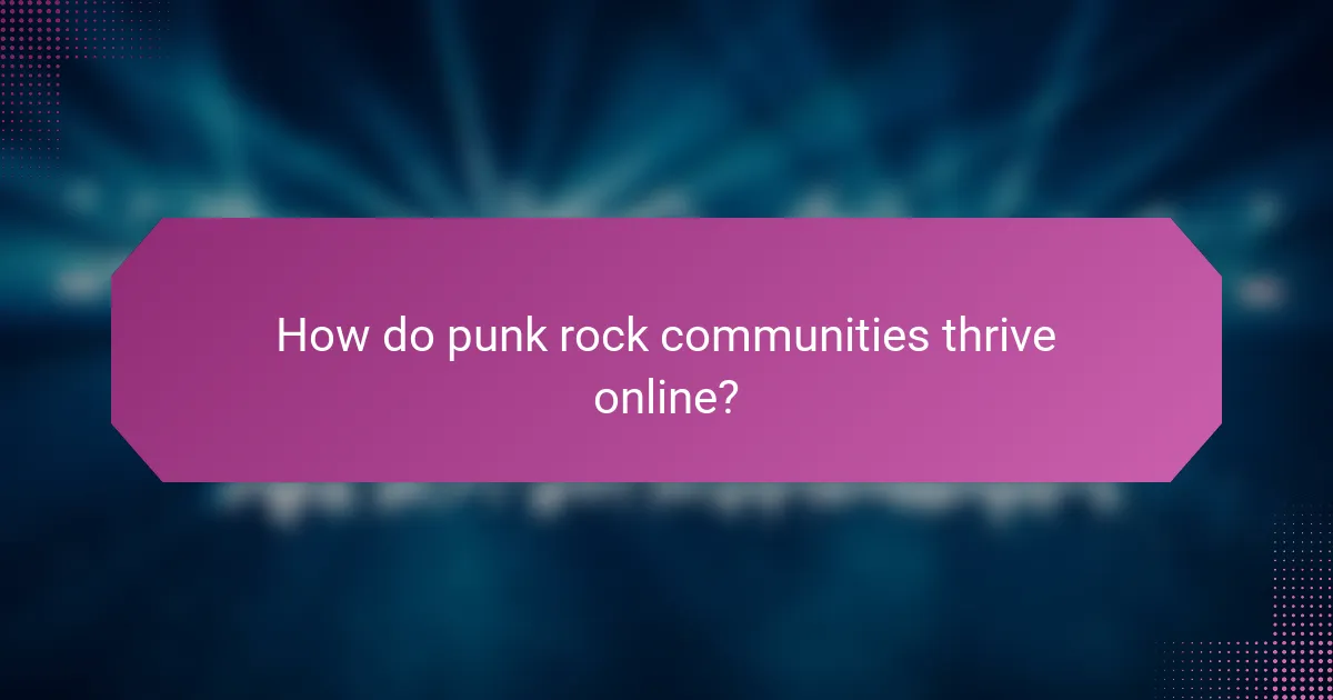 How do punk rock communities thrive online?