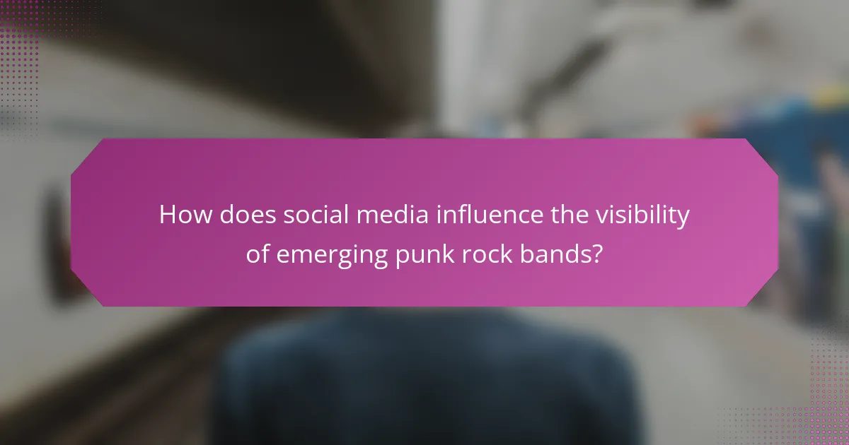 How does social media influence the visibility of emerging punk rock bands?