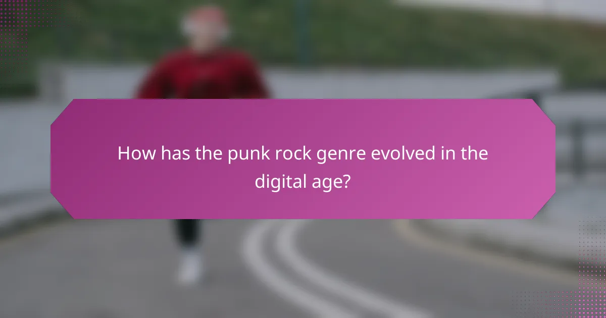 How has the punk rock genre evolved in the digital age?