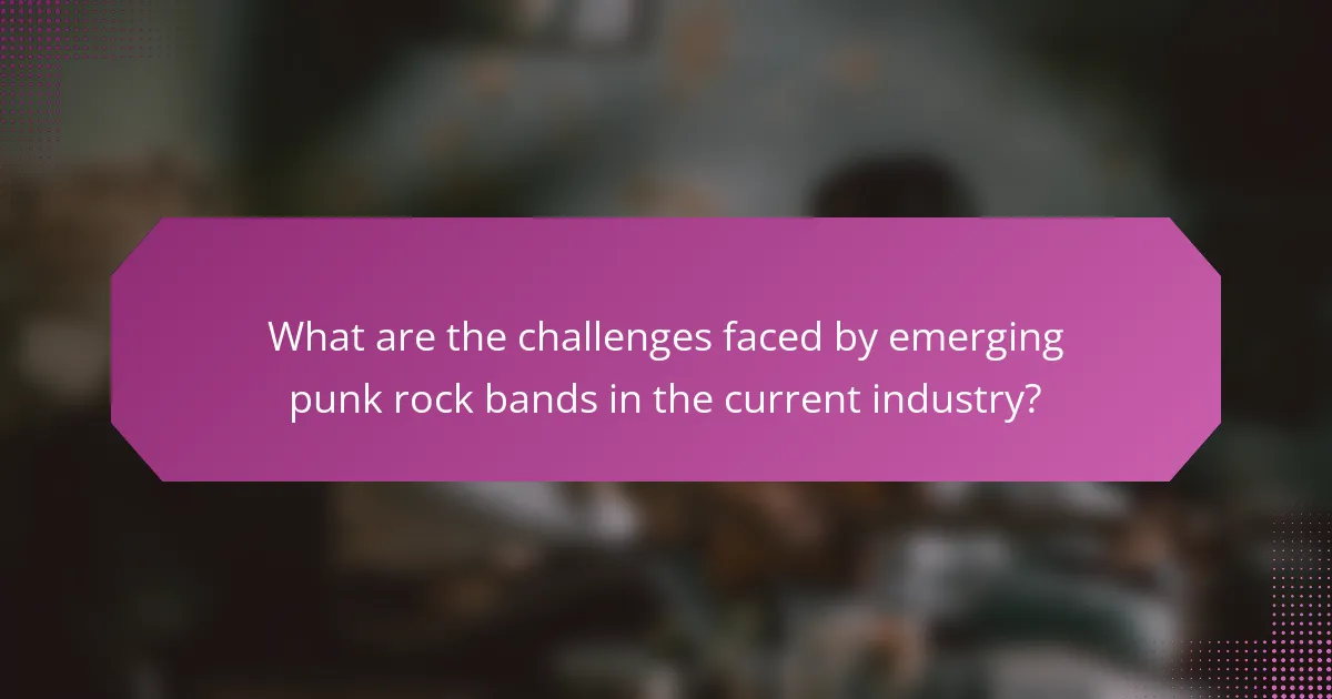 What are the challenges faced by emerging punk rock bands in the current industry?