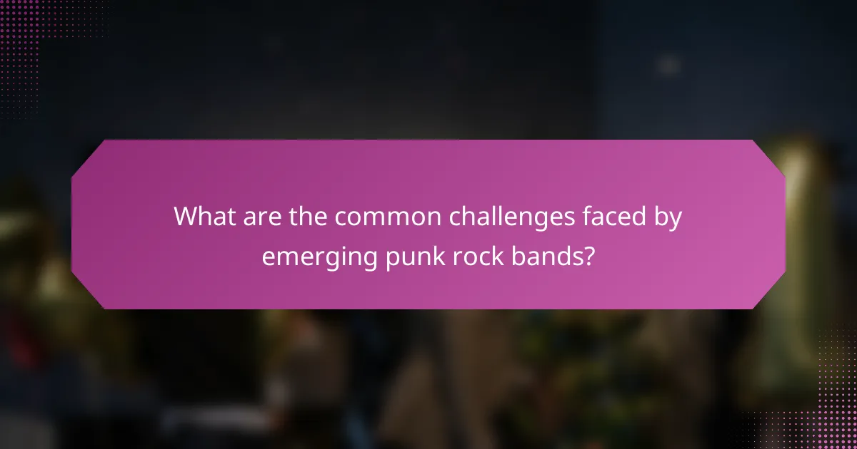 What are the common challenges faced by emerging punk rock bands?