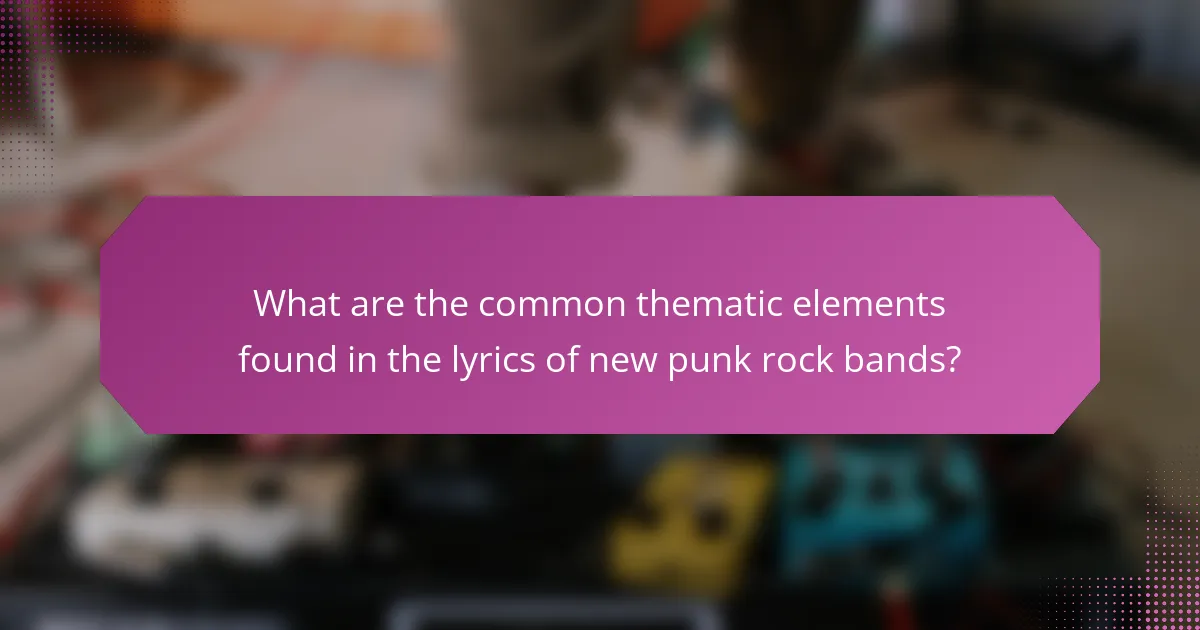 What are the common thematic elements found in the lyrics of new punk rock bands?