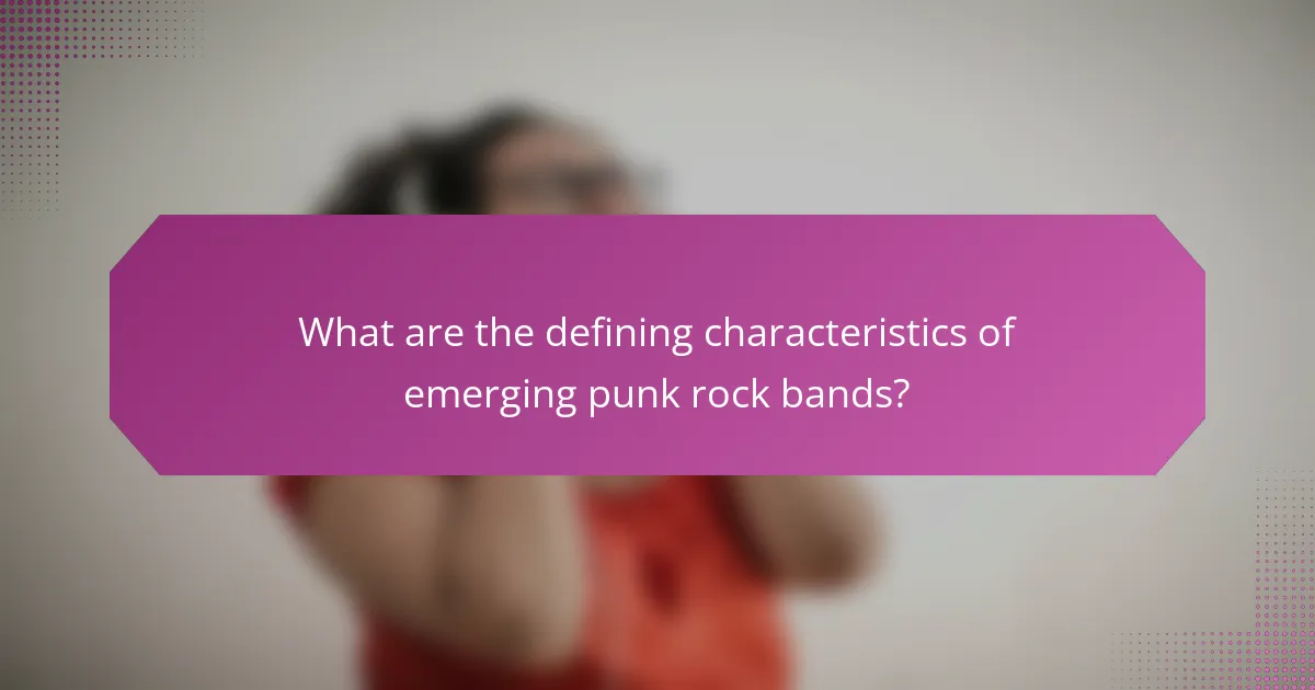 What are the defining characteristics of emerging punk rock bands?