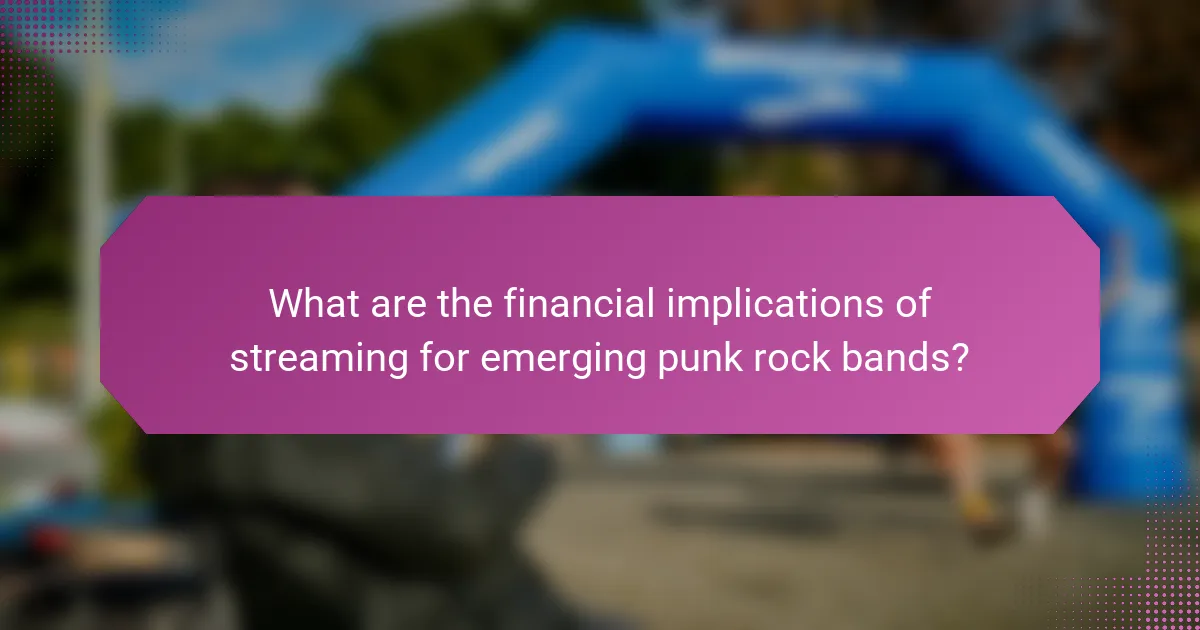What are the financial implications of streaming for emerging punk rock bands?