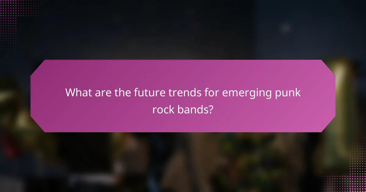 What are the future trends for emerging punk rock bands?