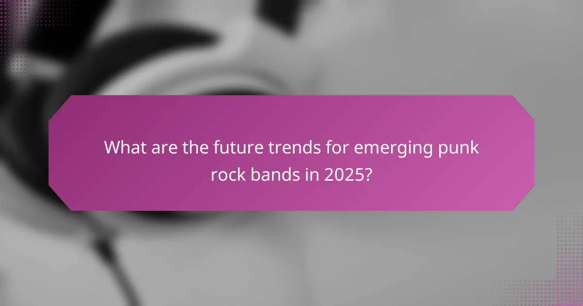 What are the future trends for emerging punk rock bands in 2025?