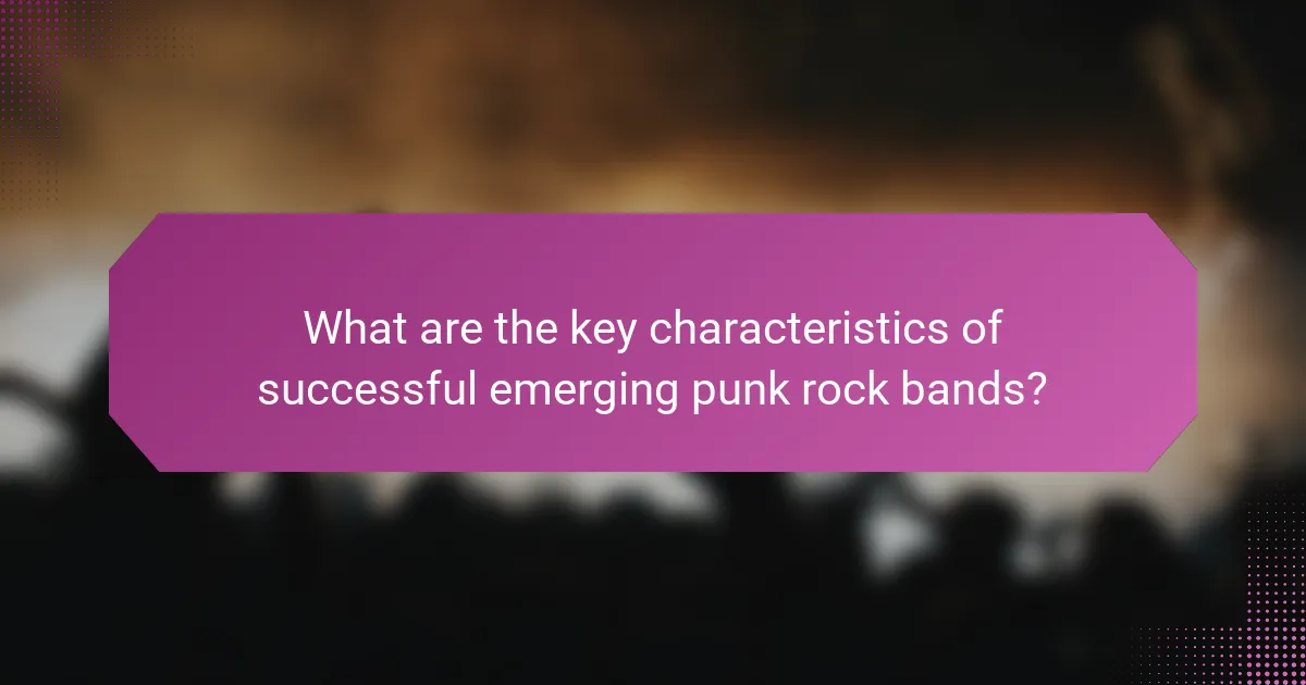 What are the key characteristics of successful emerging punk rock bands?