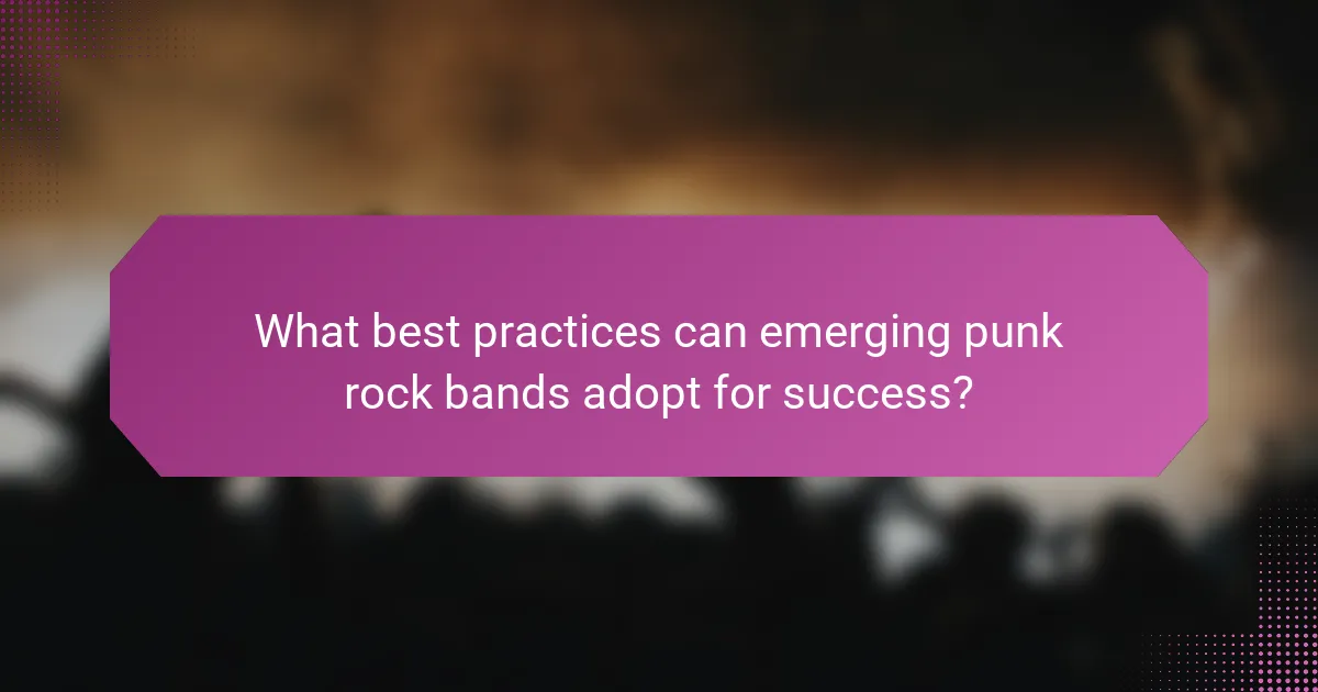 What best practices can emerging punk rock bands adopt for success?