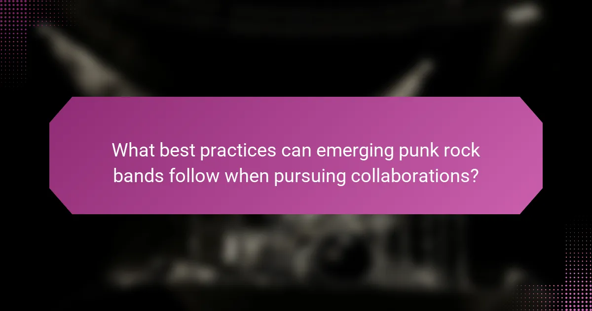 What best practices can emerging punk rock bands follow when pursuing collaborations?