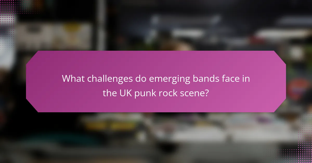 What challenges do emerging bands face in the UK punk rock scene?