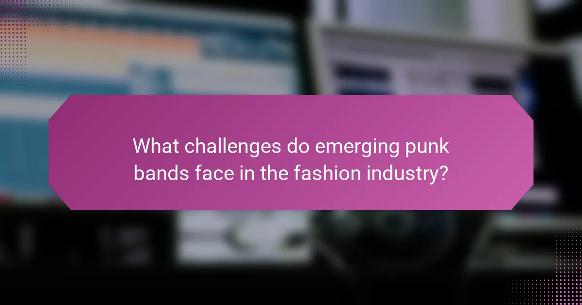What challenges do emerging punk bands face in the fashion industry?