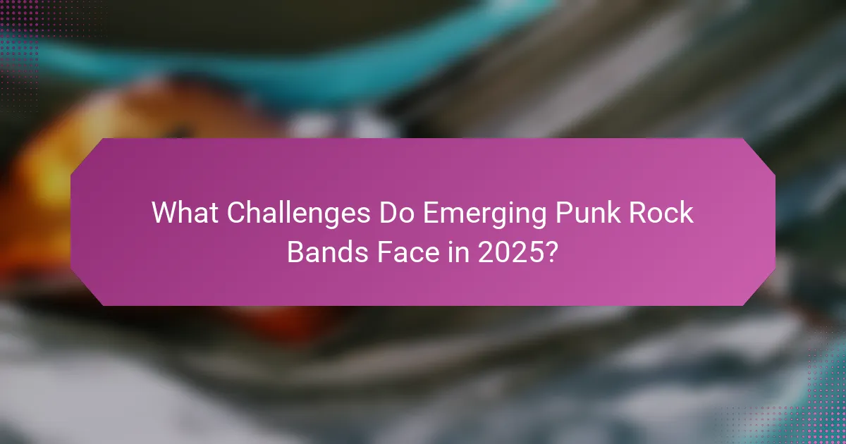 What Challenges Do Emerging Punk Rock Bands Face in 2025?