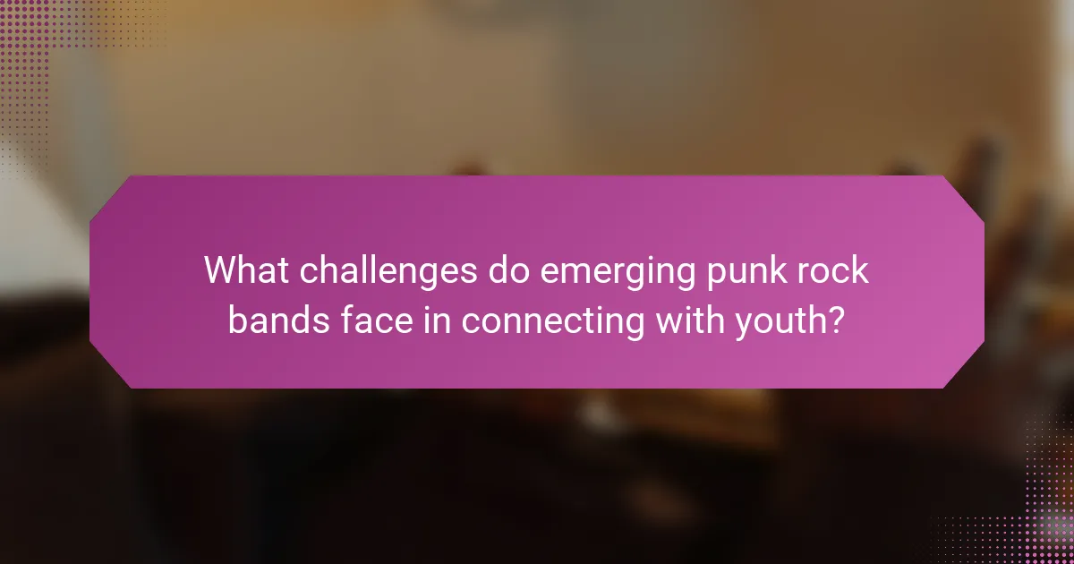 What challenges do emerging punk rock bands face in connecting with youth?