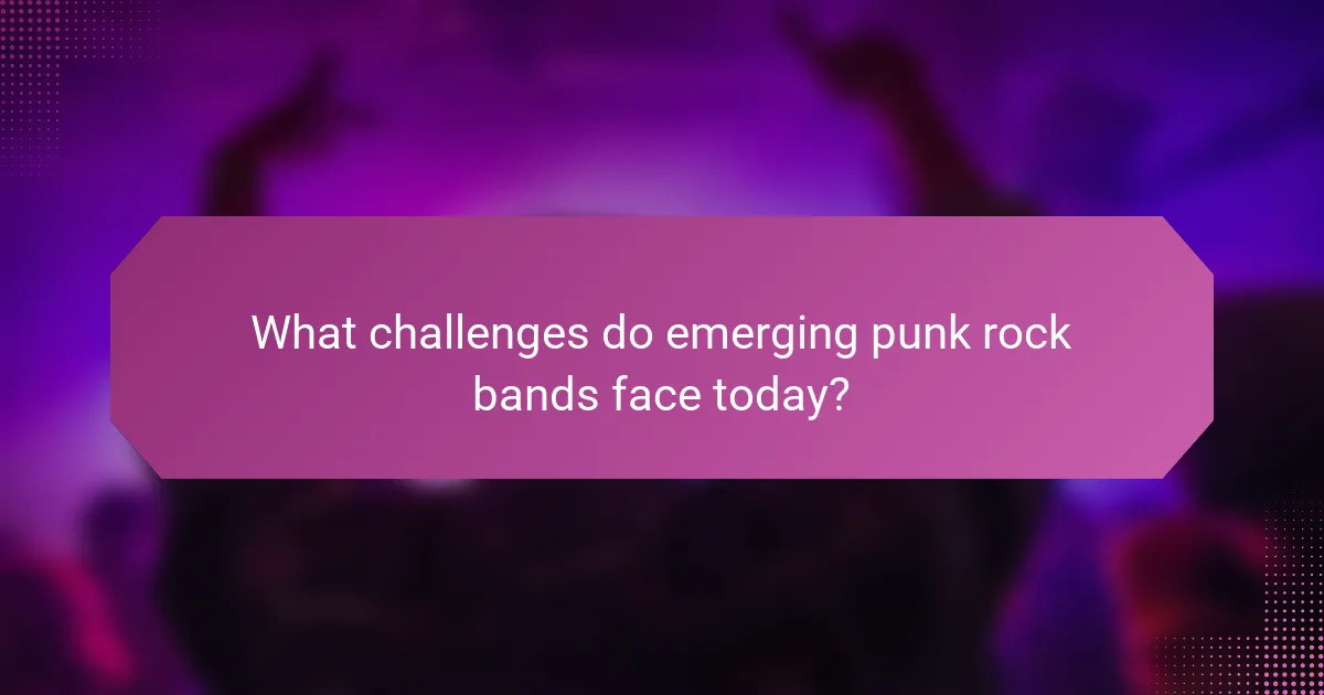 What challenges do emerging punk rock bands face today?