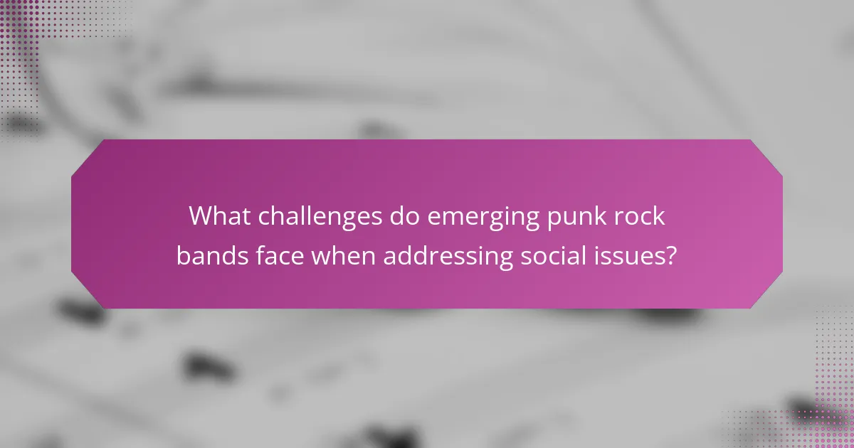 What challenges do emerging punk rock bands face when addressing social issues?
