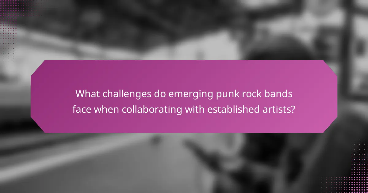 What challenges do emerging punk rock bands face when collaborating with established artists?