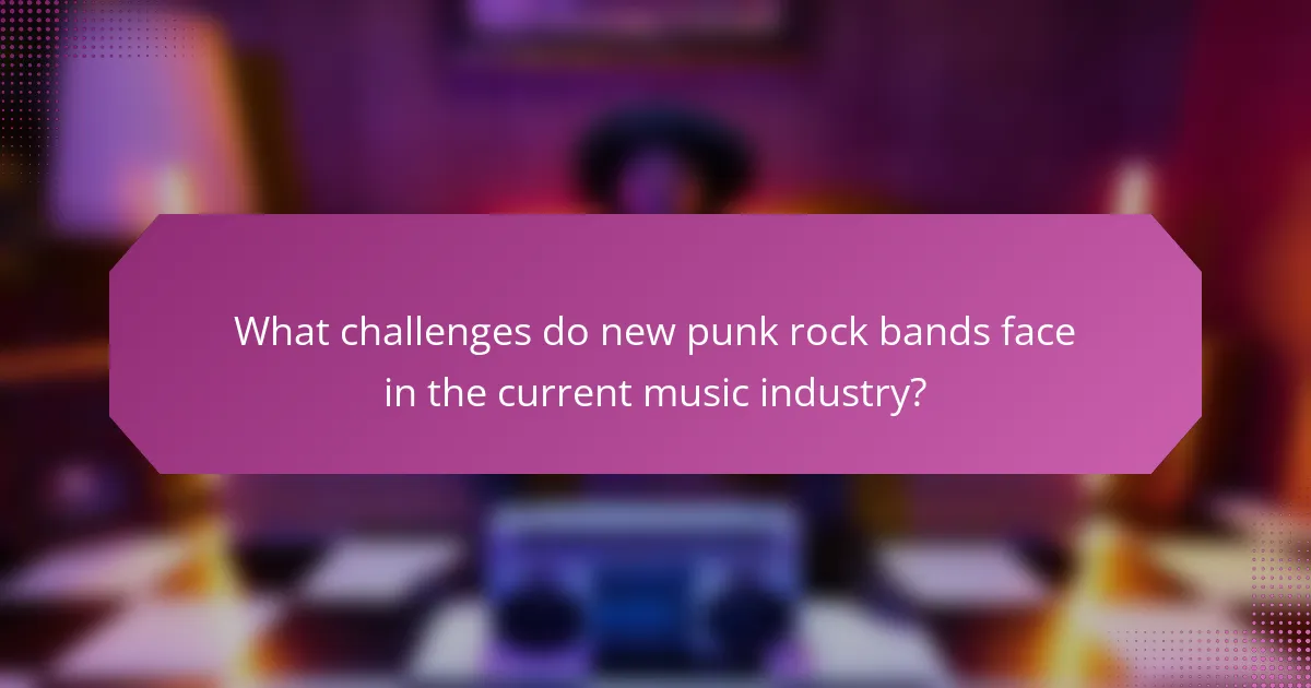 What challenges do new punk rock bands face in the current music industry?