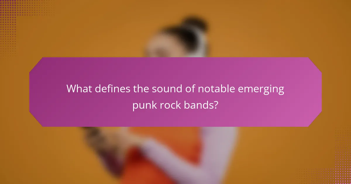 What defines the sound of notable emerging punk rock bands?