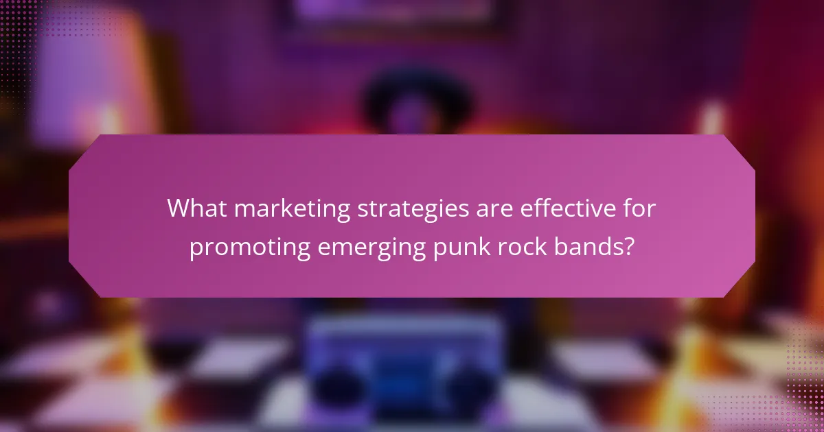 What marketing strategies are effective for promoting emerging punk rock bands?