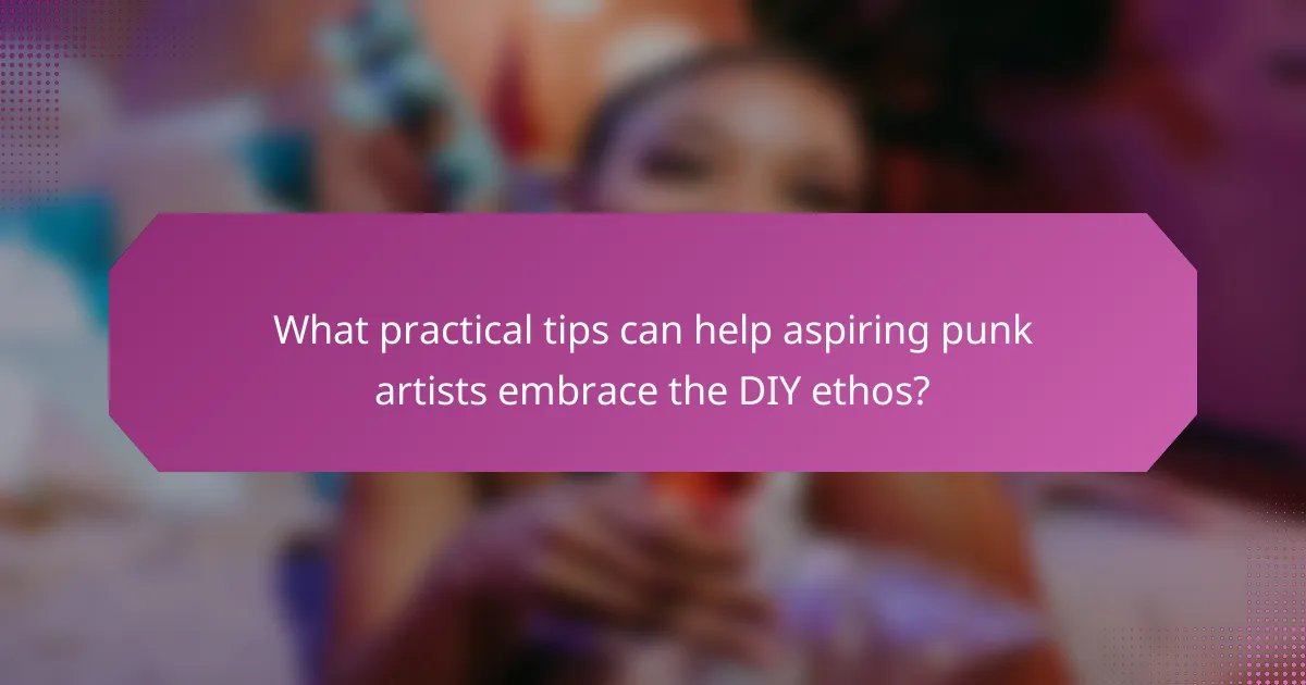What practical tips can help aspiring punk artists embrace the DIY ethos?