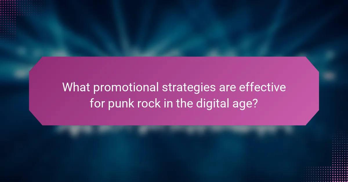 What promotional strategies are effective for punk rock in the digital age?