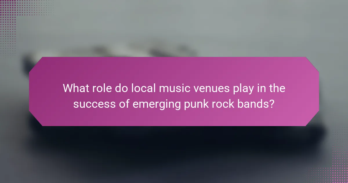 What role do local music venues play in the success of emerging punk rock bands?
