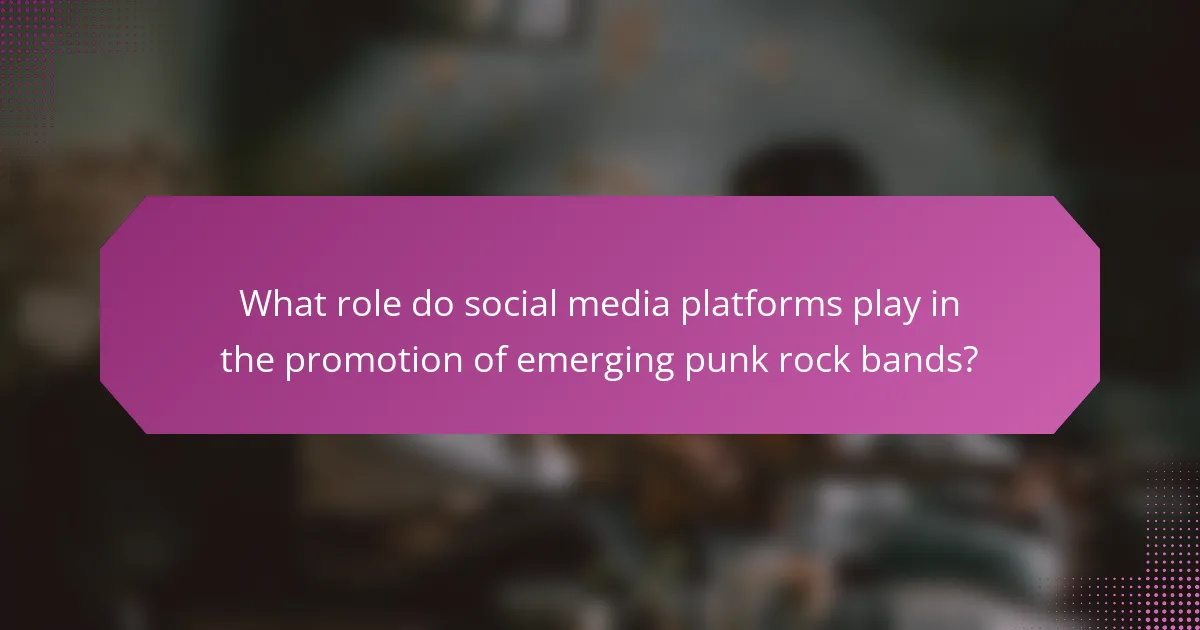 What role do social media platforms play in the promotion of emerging punk rock bands?