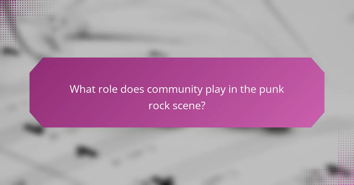 What role does community play in the punk rock scene?
