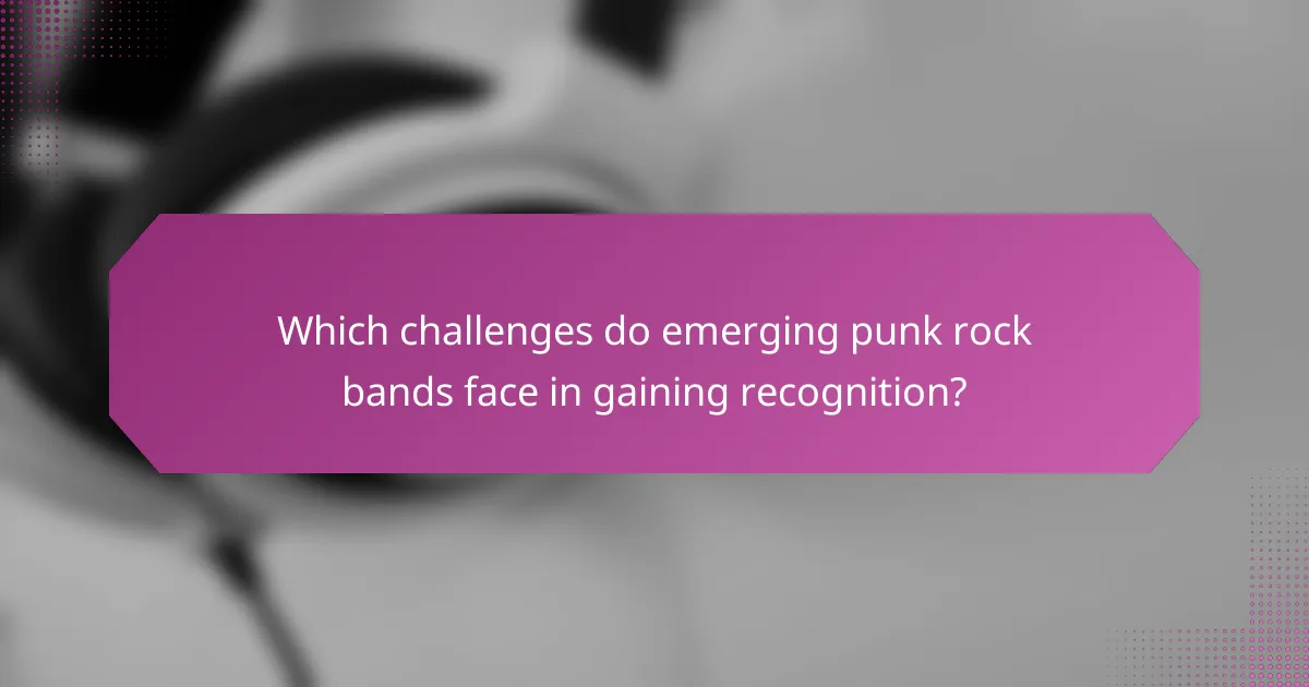 Which challenges do emerging punk rock bands face in gaining recognition?
