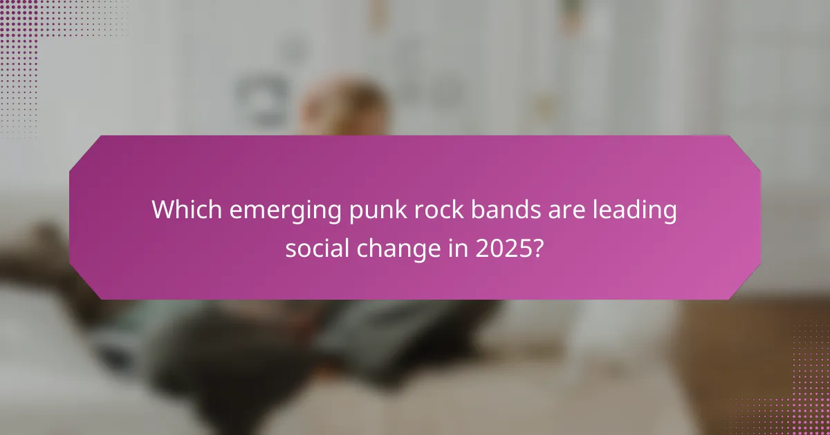 Which emerging punk rock bands are leading social change in 2025?