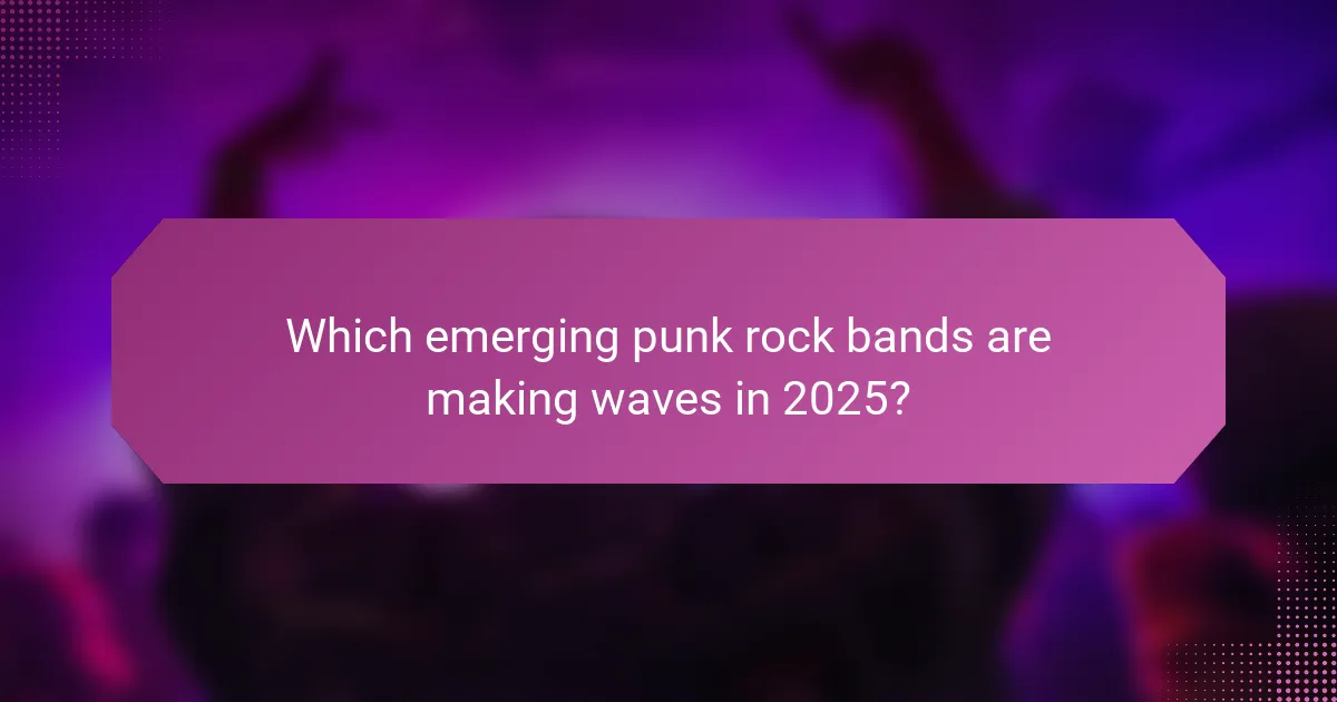 Which emerging punk rock bands are making waves in 2025?
