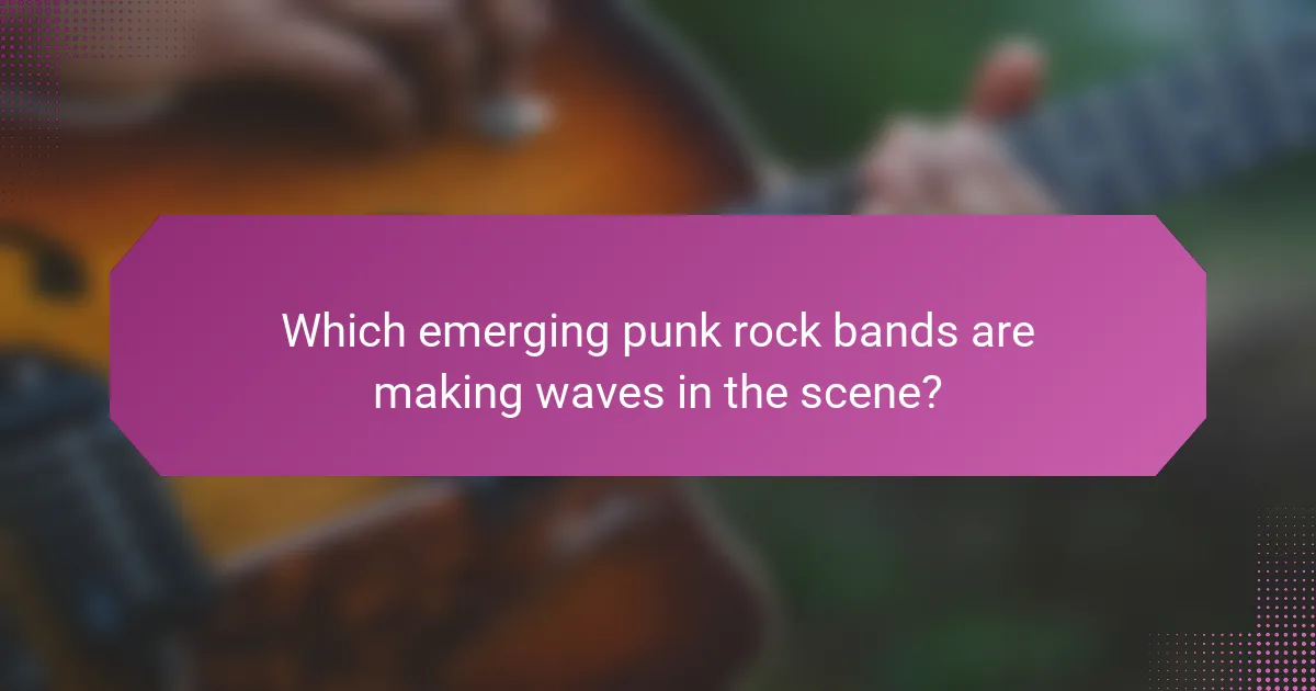 Which emerging punk rock bands are making waves in the scene?