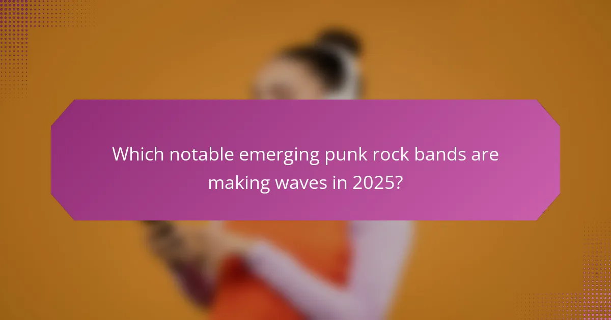 Which notable emerging punk rock bands are making waves in 2025?