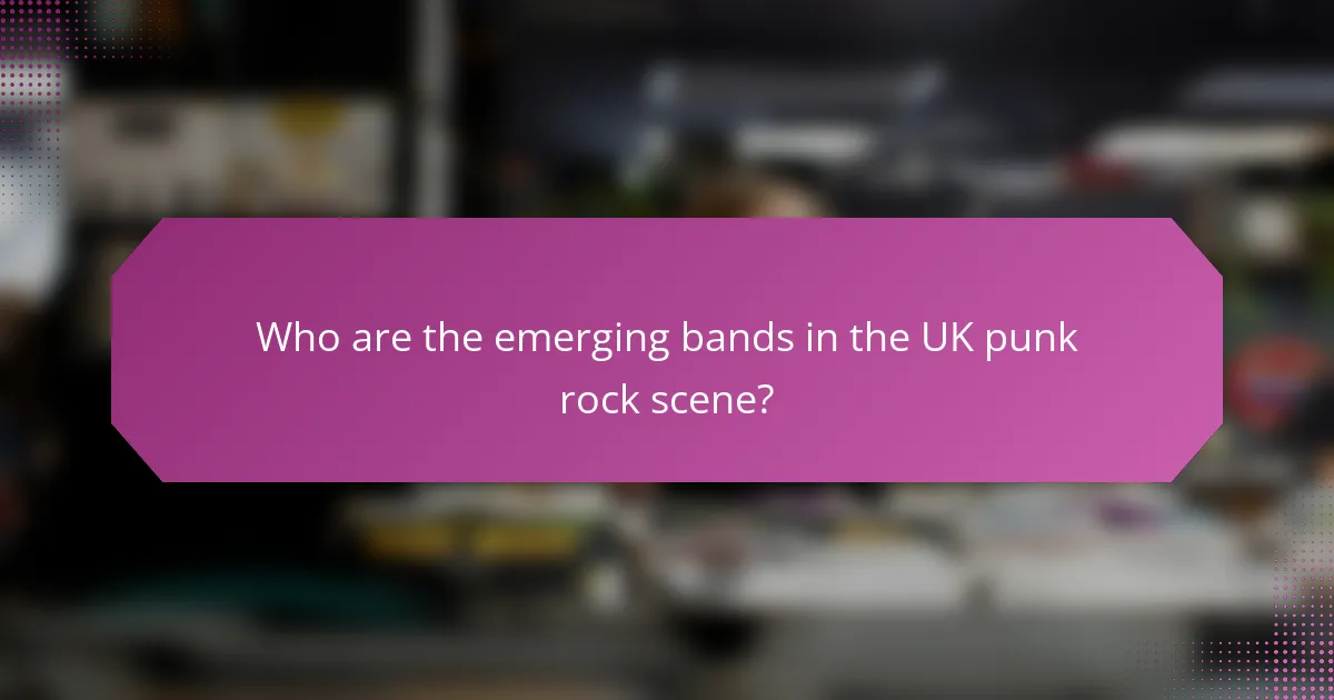 Who are the emerging bands in the UK punk rock scene?