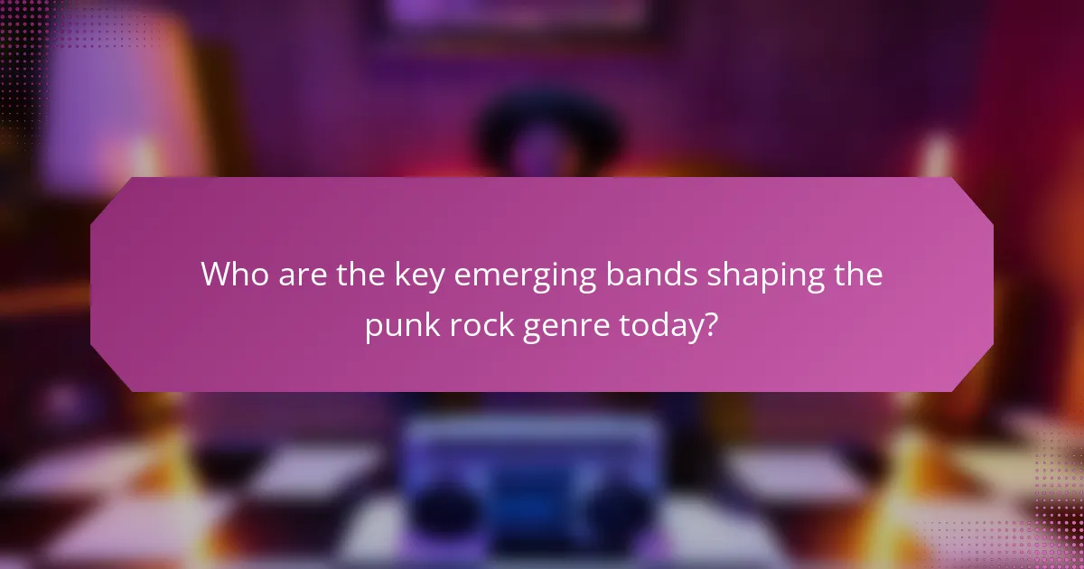 Who are the key emerging bands shaping the punk rock genre today?