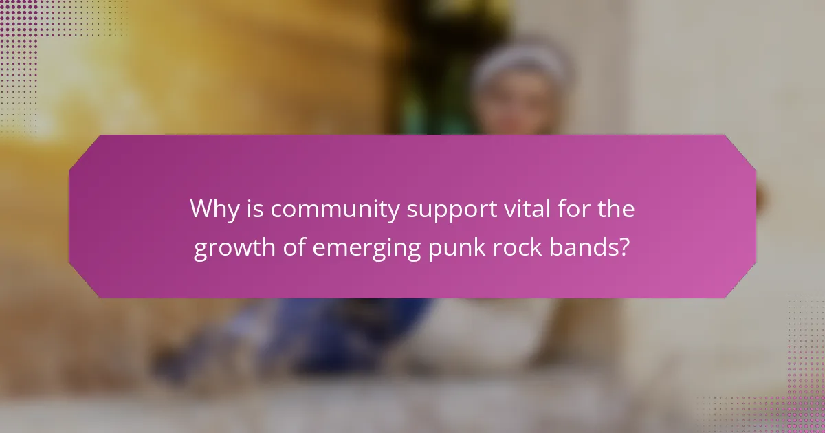 Why is community support vital for the growth of emerging punk rock bands?